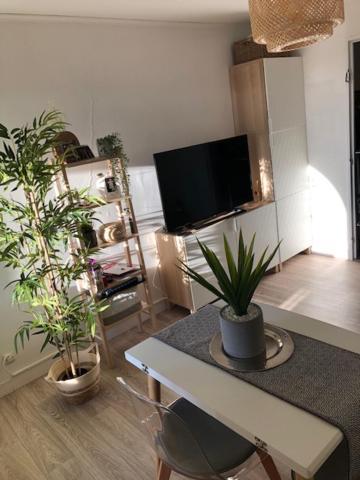 Ferienwohnung Studio Cosy Carnon-Plage - Clim Et Wifi Proche Montpellier Mauguio Exterior foto